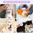 thumbnail image 2 of BEBANG Cat Steam Brush, 3 in 1 Pet Steam Brush with Release Button and Water Tank, Steam Brush for Cats Dogs, Long and Short Hair, 2 of 7