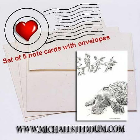 Stain Removal Bird Droppings - Bird Droppings, Irish Setter Note Card Set