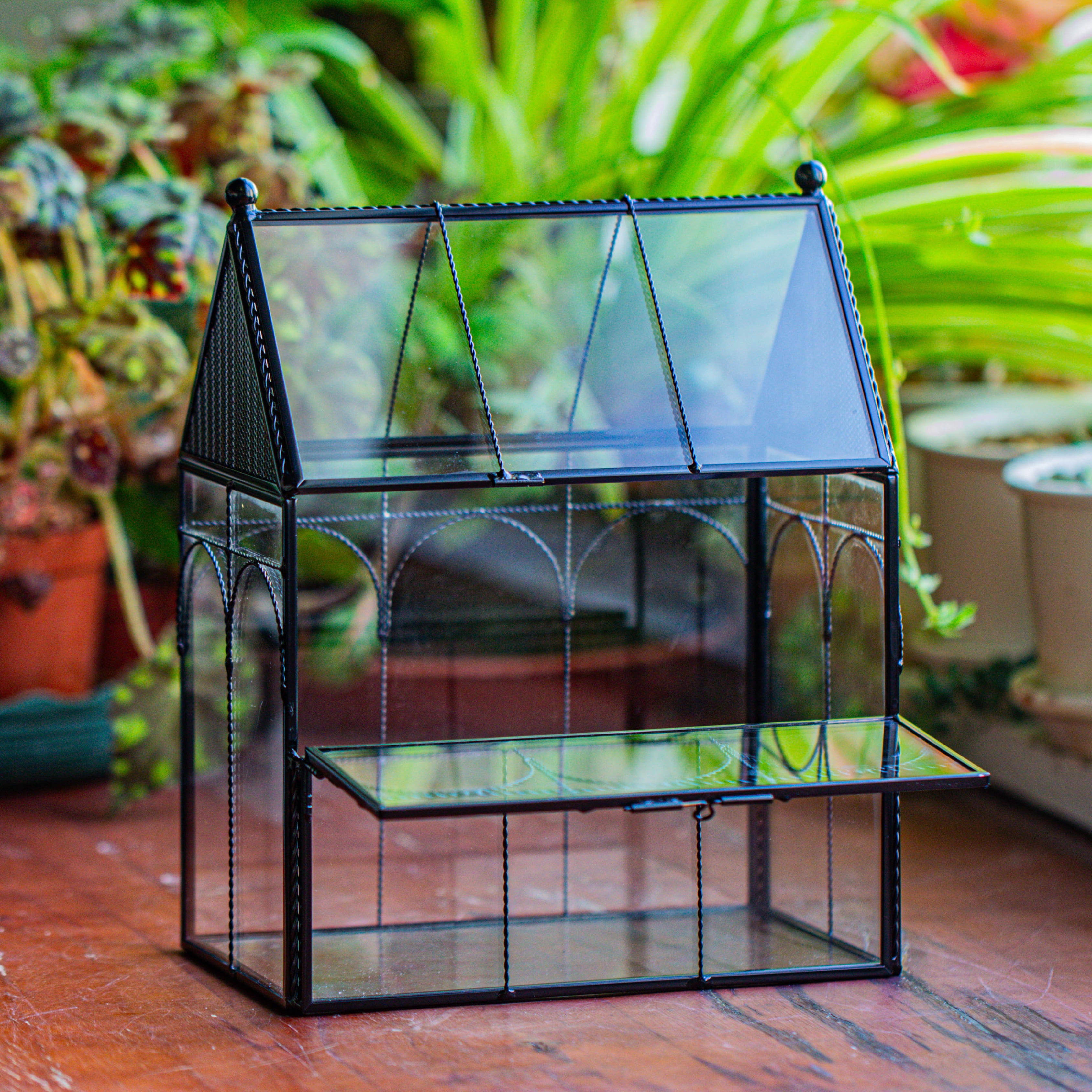 NCYP Glass Terrarium Enclosure with Vents for Insects and Spiders, Front Open