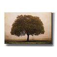 thumbnail image 1 of Epic Graffiti 'The Hopeful Oak' by Debra Van Swearingen, Canvas Wall Art, 18"x12", 1 of 7