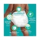 thumbnail image 2 of Pañales Pampers Swaddlers Etapa 7 44 Piezas, 2 of 4