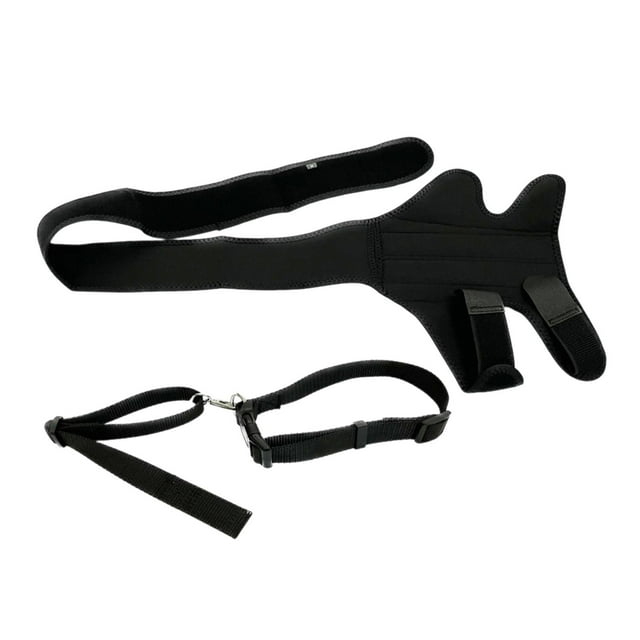 Rodillera para perro, funda protectora, almohadilla protectora transpirable para codo de mascota para pérdida de Largo 294 a 391 cm