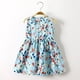 thumbnail image 2 of Odeerbi Niñas Verano Algodón Vestido Tanque Floral Vestido Sol Sin Mangas A-Vestido Sin Mangas de Princesa, 2 of 3
