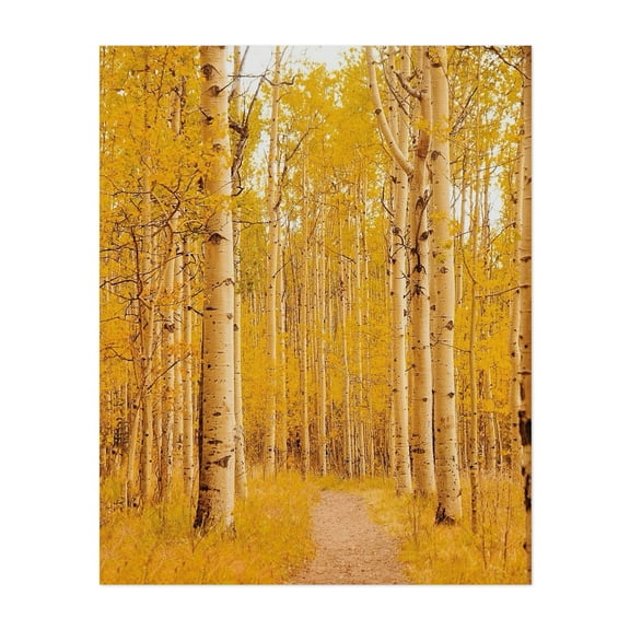 Aspen Alley - Aspen Colorado Photography Unframed Wall Art Print 8 x 10 inches