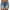 Dark Blue, variant on Summer Savings Clearance! ZVNAΖH Womens Plus Size Stretchy Denim Shorts High Waisted Jean Shorts Ripped Denim Shorts