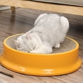 thumbnail image 4 of Tablero Rascador Para Gatos, Cama Rascadora Para Gatos, Forma Redonda De área Grande Para Gatito, 4 of 7
