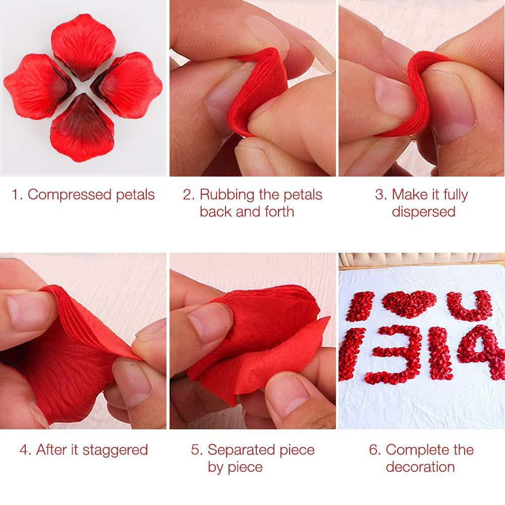 Dark Red BESKIT 3000 Pieces Rose Petals Artificial Flower Silk Petals for Valentine Day Wedding Flower Decoration