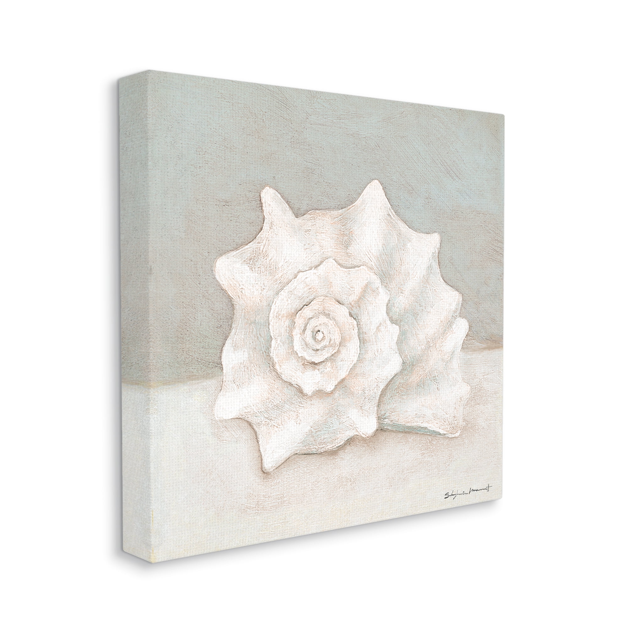 Stupell Industries Conch Shell Minimal Beige Grey Seashell Nautical Animal, 24 x 24, Design by Stephanie Workman Marrott