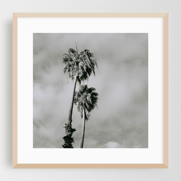 Palms Black and White - Visalia California Photography Palm Tree Black and White Minimalist Tropical Nature Vintage Scenic Oak Framed Wall Art Print 10 x 10 inches