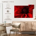 thumbnail image 5 of Elephant Stock Red Flower Bloom Wall Art - Horizontal Canvas Wall Art - Living Room Wall Decor - Floral And Botanical Canvas - Red And Black Decor - 12" x 8", 5 of 8