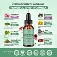 thumbnail image 3 of Lymphatic Drainage Drops, 10-in-1 Lymphatic Supplements with Echinacea & Burdock Root- Immune & Detox Boost, Advanced Absorption, Non-GMO (2 fl oz, 2 Pack), 3 of 10