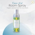 thumbnail image 2 of Expressive Scent Fragrance Room Spray- Long Lasting Jasmine Aroma- 6 fl oz, 2 of 7