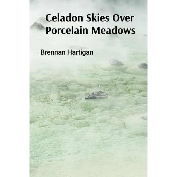 Celadon Skies Over Porcelain Meadows: A Ceramicist's Odyssey Through Form, Texture, and Translucence, (Paperback)