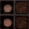 thumbnail image 4 of Pastilles de Croissance Super Burpee – Boîte de 72 unités, 4 of 4