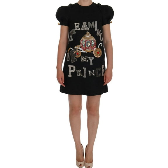 Dolce  Gabbana Gray Crystal "Dreaming of My Prince" Dress