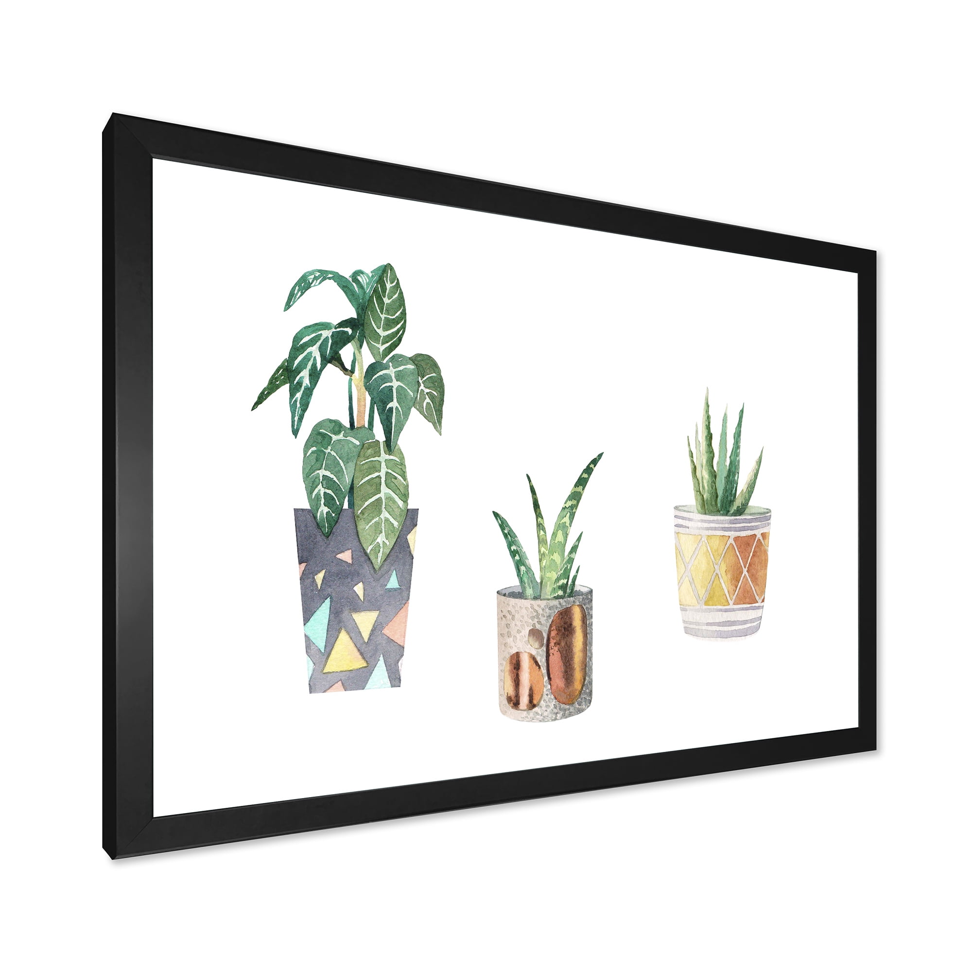Designart 'Three Potted Houseplants On White' Traditional Framed Art Print