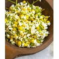 thumbnail image 5 of TomorrowSeeds - German Chamomile Seeds - 3000+ Count - For 2026 Planting Matricaria Chamomilla, 5 of 9