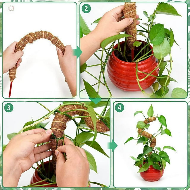Marco para trepar plantas con ramas de coco, jardinería, bricolaje, ramas de coco flexibles con forma de rábano verde
