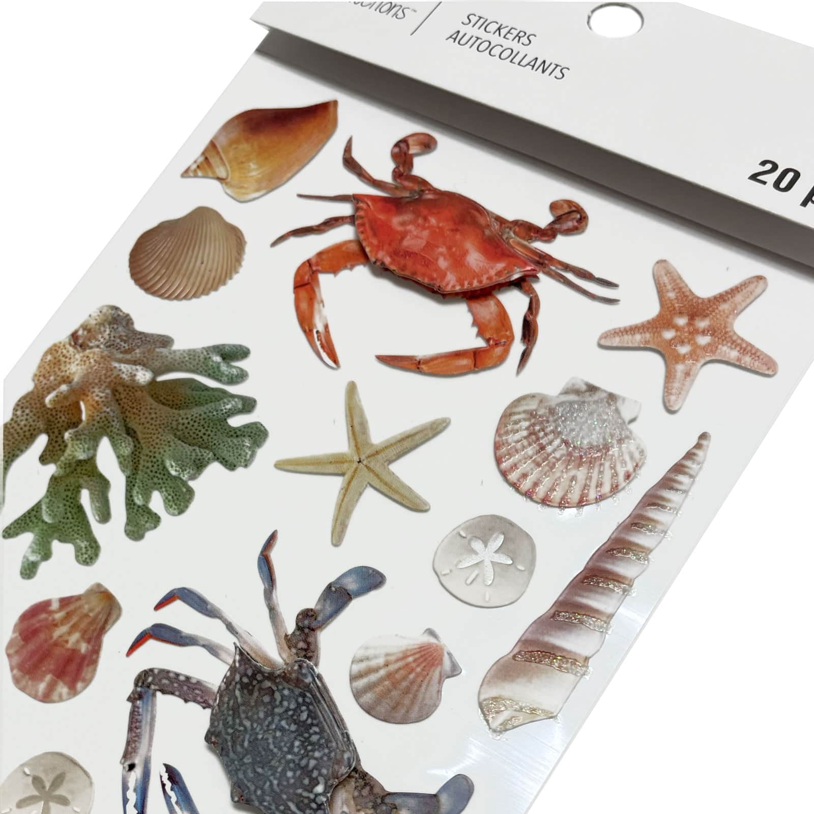 Recollections Shell Stickers, 12 Pack
