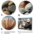 thumbnail image 3 of Designart "Seashell Sonata Beach Photo III" Nautical & Beach Floater Framed Wall Decor, 3 of 7