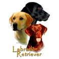 thumbnail image 2 of CafePress - Labrador 7 Throw Blanket - Soft Fleece Throw Blanket, 50"x60" for All Ages, 2 of 2