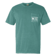 thumbnail image 2 of Southern Fried Cotton Hooks and Stripes Forever American Flag Short Sleeve Comfort Colors Seafoam Graphic T-shirt-Medium, 2 of 4