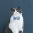 thumbnail image 4 of rygai Adjustable Pet Collar Fastener Tape Soft Lapel Handsome Dog Cat Collar Necktie Pet Supplies,Blue,S, 4 of 7
