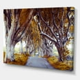 thumbnail image 1 of Designart - Majestic Tree Alley - Traditional Canvas Wall Art Print, 1 of 2