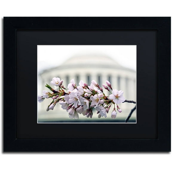 Trademark Fine Art "Jefferson Memorial Blossoms" Canvas Art by CATeyes, Black Matte, Black Frame