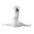 thumbnail image 1 of Great promotion! Home Flower Pot Decorations, Parody Of Potted Resin Crafts, Bedroom And Courtyard Decorations, 1 of 5