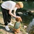 thumbnail image 4 of Pet Clothes Soft Solid Pullover Sweater for Dogs Cute Autumn Winter Apparel for Small Breeds 5 Sizes, 4 of 5