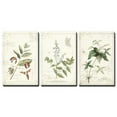 thumbnail image 2 of Wall26 3 Panel Canvas Wall Art - Vintage Style Plant Leaves and Flowers - Giclee Print Gallery Wrap Modern Home Decor Ready to Hang - 24"x36" x 3 Panels, 2 of 3