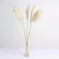 thumbnail image 5 of BalsaCircle Wheat 6 Sprays Stems 32" Natural Pampas Grass Dried Plant Wedding Party Decorations, 5 of 8