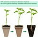 thumbnail image 4 of Macetas biodegradables de 25 piezas, macetas pequeñas de fibra, juego de macetas de jardinería, plántulas y macetas compostables para germinar sin plástico sin turba (Bandeja de plántulas:, 4 of 5