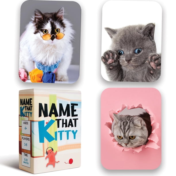 Name That Kitty: ¡el juego de cartas de gatos para niños de 8 a 12 años es ideal para manualidades con gatos, juegos de gatos y fanáticos de la memoria de gatos! Diversión para familias Regalos para n