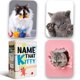 thumbnail image 1 of Name That Kitty: ¡el juego de cartas de gatos para niños de 8 a 12 años es ideal para manualidades con gatos, juegos de gatos y fanáticos de la memoria de gatos! Diversión para familias Regalos para n, 1 of 5