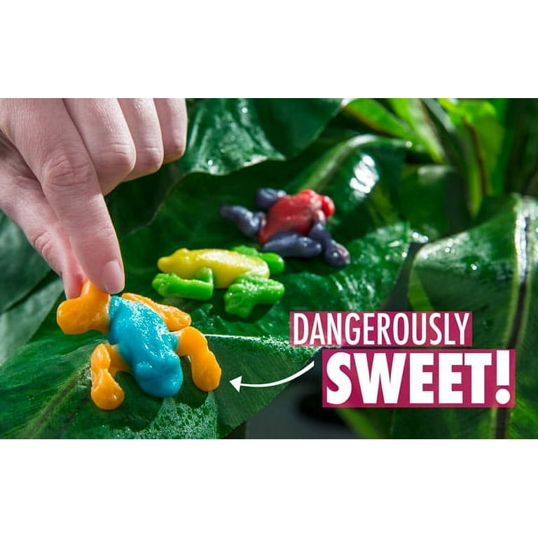 Gummy Tree Frogs Bulk bag of flavored gummy rainforest frogs