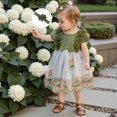 thumbnail image 4 of Newborn Baby Girl Lace Romper Dress 0 3 6 12 18 Months Short Sleeve Floral Ruffle Mesh Tutu Dress Cute Jumpsuits with Headband, 4 of 8