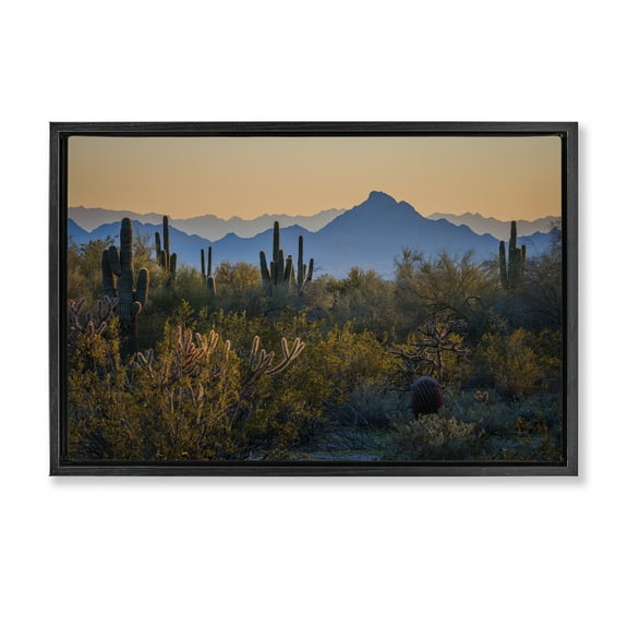Stupell Industries Contrasting Desertscape Scene Landscape & Nature Photography Black Floater Framed Canvas Art Print Wall Art, 25 x 17