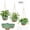 Green, variant on Diigabo 3-Pack 8-inch Self-Watering Hanging Planters with Macrame Hanger Indoor Plastic Plant Pots with Drainage Hole&Saucers Flower Baskets for Outdoor Garden Home Ceiling Decor(White)