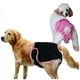 thumbnail image 5 of Pañales Reutilizables para Perros Colco Rosa L, 5 of 8