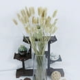 thumbnail image 4 of 2x Secas Naturales Hierba Decoración de Tallos de Bricolaje Gloria hierba de pampa seca, 4 of 9