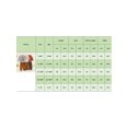 thumbnail image 5 of Suealasg 2Pcs Toddler Baby Boys Fall Halloween Outfits Clothes 6M 1T 2T 3T Toddler Boys Pumpkin Letter Print Long Sleeve Sweatshirts Long Pants, 5 of 7