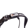 thumbnail image 6 of Blazin' Safety Rechargeable Lighted LED Dog Collar (Large, Black), 6 of 6