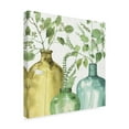 thumbnail image 2 of Trademark Fine Art 'Mixed Greens LV' Canvas Art by Lisa Audit, 2 of 3