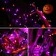 thumbnail image 2 of Luces de Halloween Odertonic naranja y morado, 3 pies, 100 LED, 2 of 8