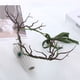 thumbnail image 4 of Pisexur Belleza Maquillaje Diadema de cuernos de bosque con diseño de elfos del bosque y hadas para mujeres y niñas, estilo renacentista, para Halloween, Navidad, cumpleañopara mujeres y hombres, 4 of 8