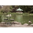 thumbnail image 2 of Blaustein, Alan 18x13 White Modern Wood Framed Museum Art Print Titled - Dream Cafe Stow Lake - 47, 2 of 4