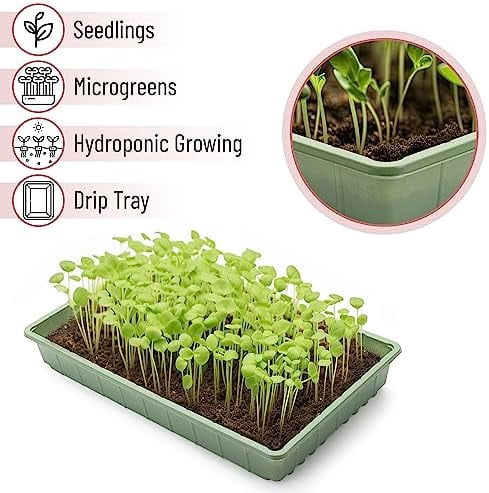 -Plastic Growing Trays, 5 Pack, Plant Tray, Seed Tray, Propagation Tray