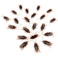 thumbnail image 3 of Juguetes para bromas falsas con cucarachas falsas, Ksquare, truco y broma, 100 unidades, 3 of 6